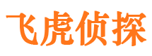 新田市侦探调查公司